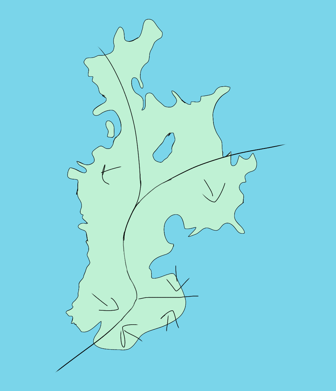 outline of an island with four plate boundaries
